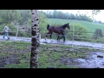 Petservice Venuska - Hotel pro psy