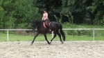 Petservice Venuska - Hotel pro psy
