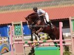 Petservice Venuska - Hotel pro psy