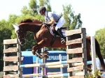 Petservice Venuska - Hotel pro psy